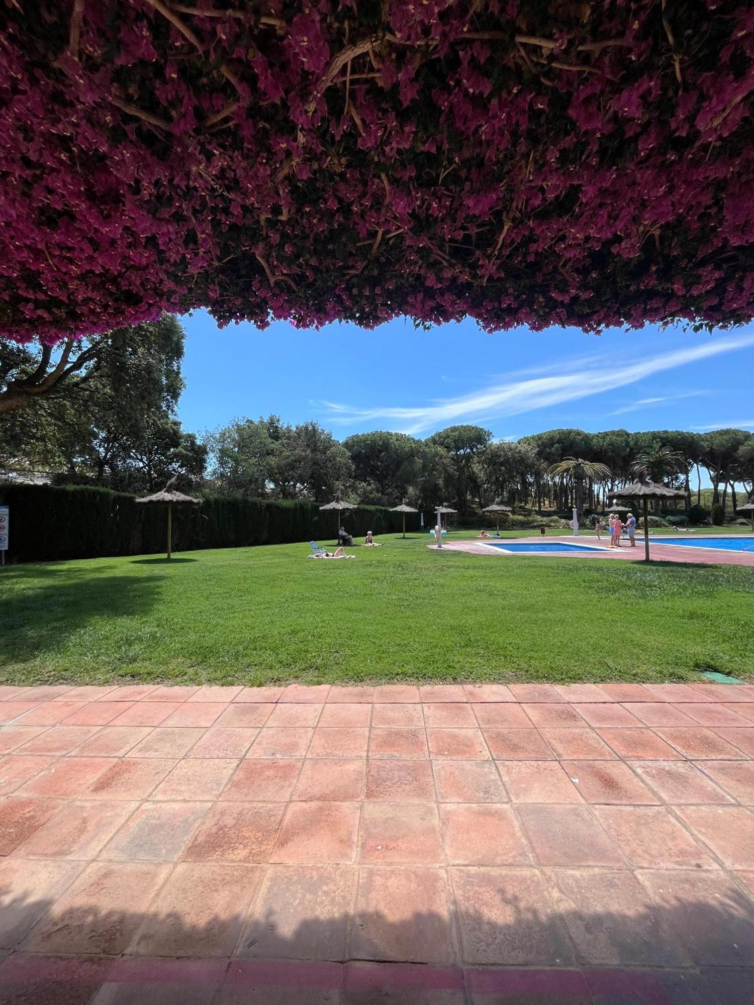 Calella De Palafrugell - Piso Reformado Con Piscina, Wifi Y Parking Gratuito Διαμέρισμα Εξωτερικό φωτογραφία
